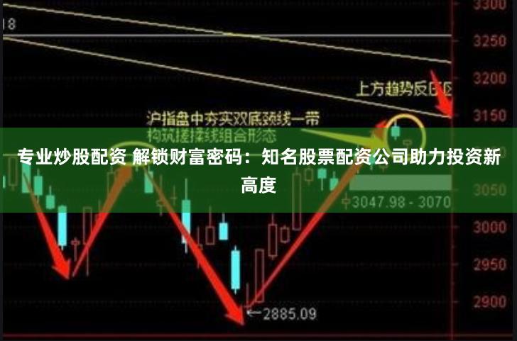 专业炒股配资 解锁财富密码：知名股票配资公司助力投资新高度
